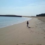 【2019年】愛知県の綺麗な海「ブルーサンビーチ」情報！水質や営業時間は？