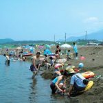 【2019年】新潟県の綺麗な海「柿崎中央海水浴場」情報！水質や営業時間は？